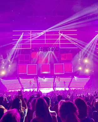 Purple Reign - Prince Tribute Las Vegas