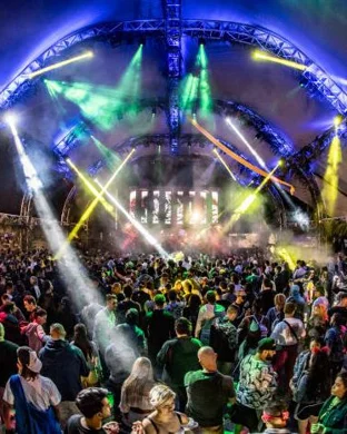 Excision
