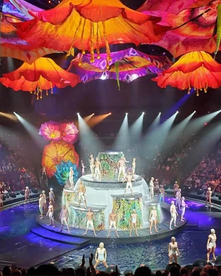 Discovering King Tut's Tomb Las Vegas