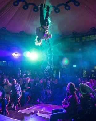 Late Night Magic Show