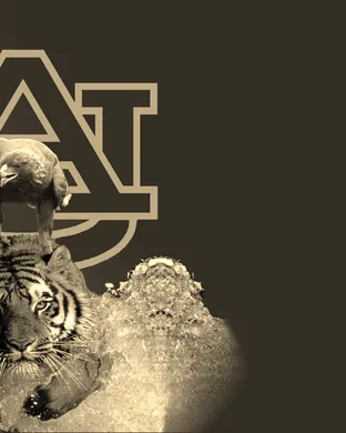 Auburn Tigers Las Vegas