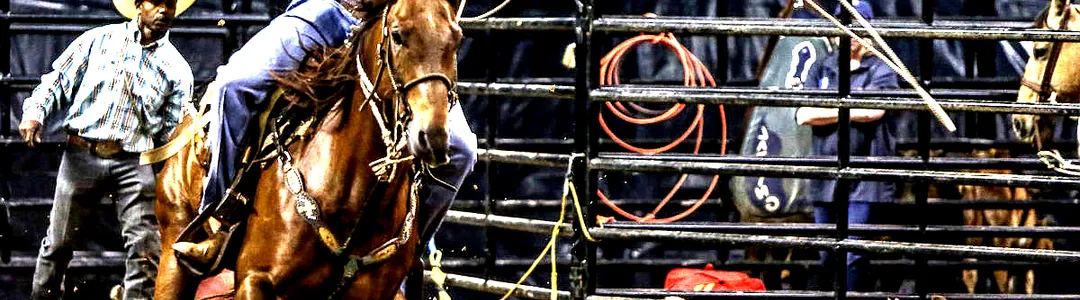 Black Rodeo