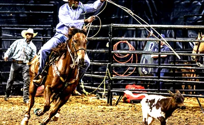 Black Rodeo