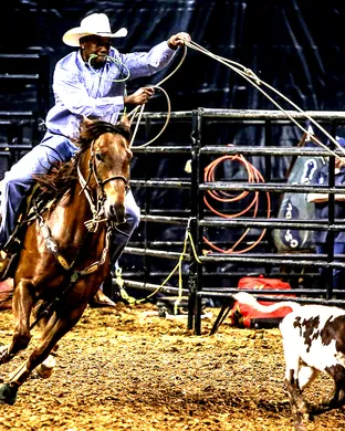 Black Rodeo