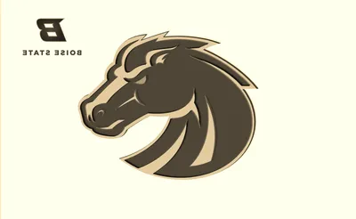 Boise State Broncos