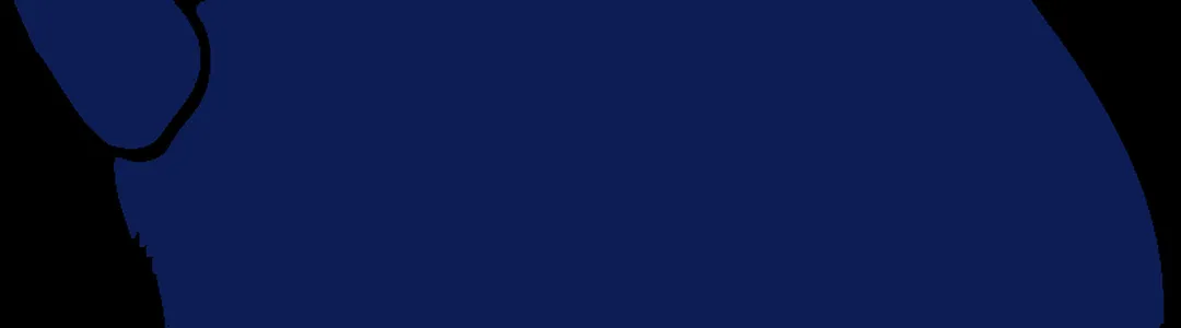 California Golden Bears