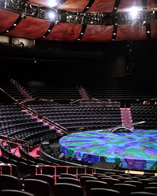 Cirque du Soleil - Mystere