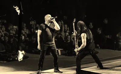 Disturbed