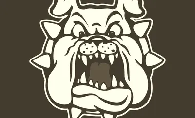 Fresno State Bulldogs