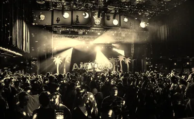 Gasolina Reggaeton Party