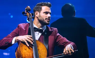 Hauser