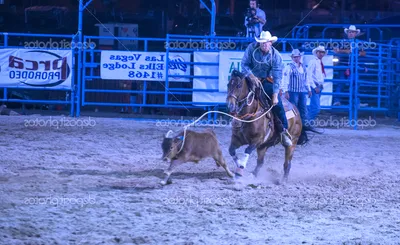 Helldorado Days Rodeo