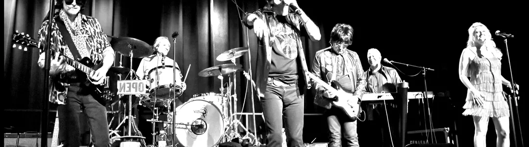 Mick Adams and The Stones