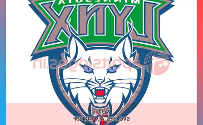 Minnesota Lynx