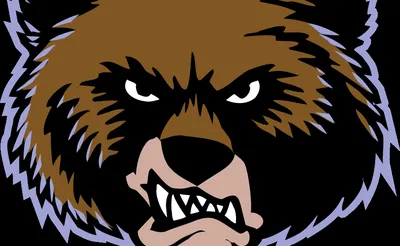 Montana Grizzlies