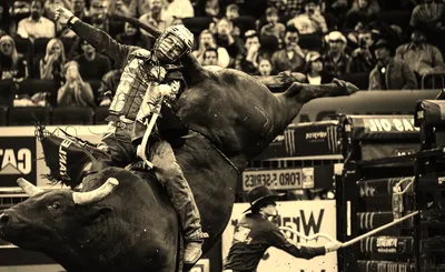 PBR - Professional Bull Riders