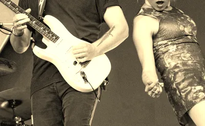 Rainbow Kitten Surprise