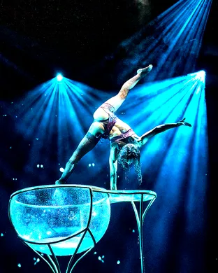 Rouge - The Sexiest Show In Vegas