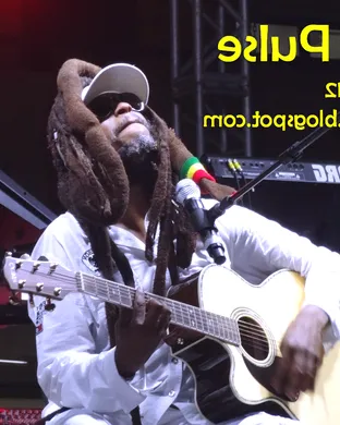 Live concert by Steel Pulse