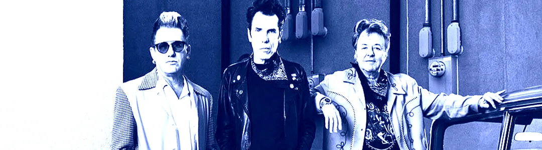 Stray Cats
