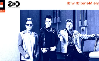 Stray Cats