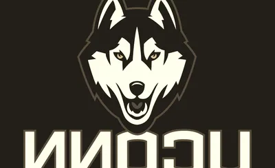 UConn Huskies Basketball
