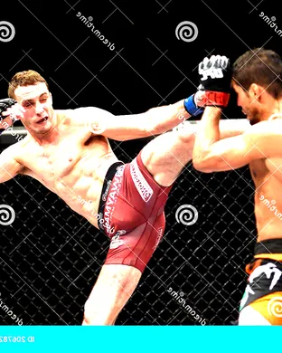 UFC - Ultimate Fighting Championship