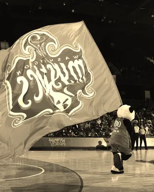 Washington Mystics