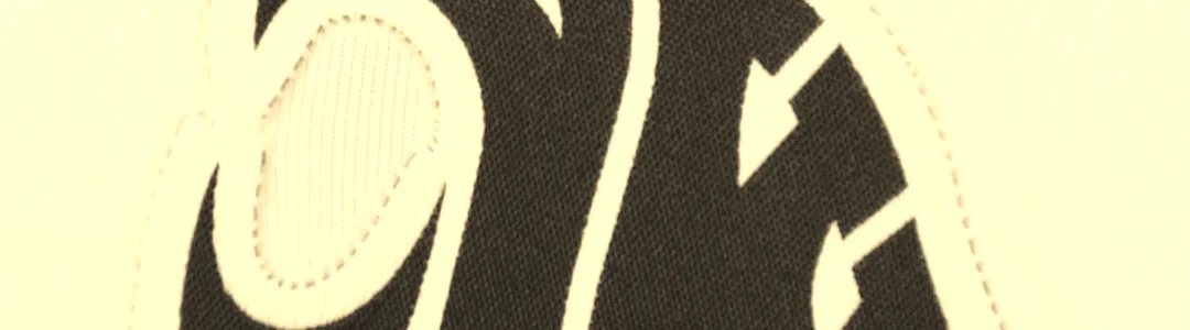 Washington State Cougars