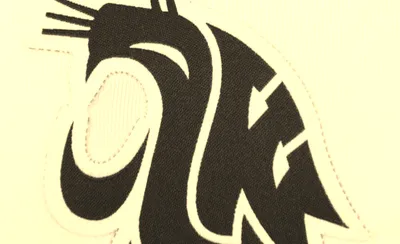 Washington State Cougars