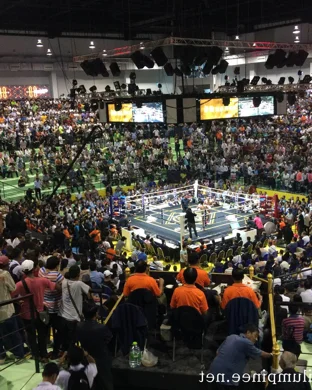 WBA Heavyweight Title Fight: Jarrell Miller vs. Lenier Pero