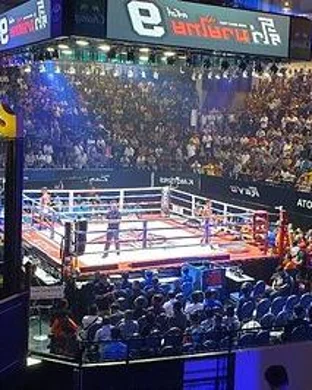 Canelo Alvarez vs. Terence Crawford