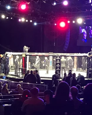 UFC 317
