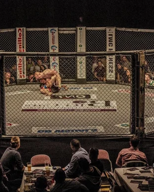 Dana White's Contender Series Las Vegas