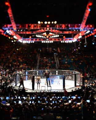 Dana White's Contender Series 78 sports event
