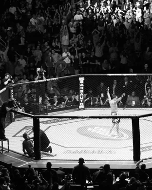 UFC Hall of Fame Induction Ceremony