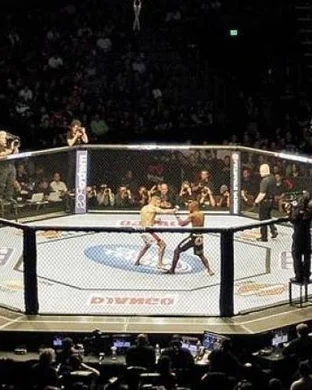 Dana White's Contender Series 77 sports event