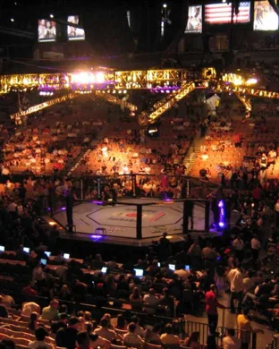UFC 317