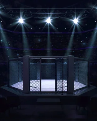 UFC Fight Night: Sterling vs. Zalal