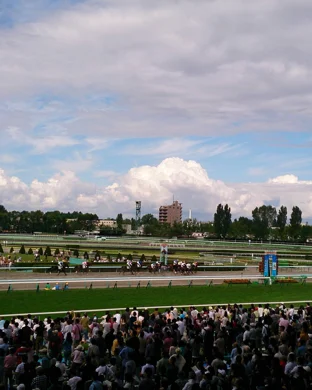 Run For A Million - Cutting Horse Challenge