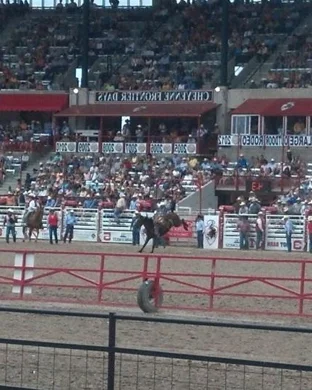PBR Challenger Series