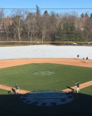 Run For A Million Cow Horse Challenge